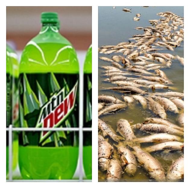 Weren&#8217;t We JUST Talking About This?  Now a Mtn Dew Spill Could Kill Aquatic Life!