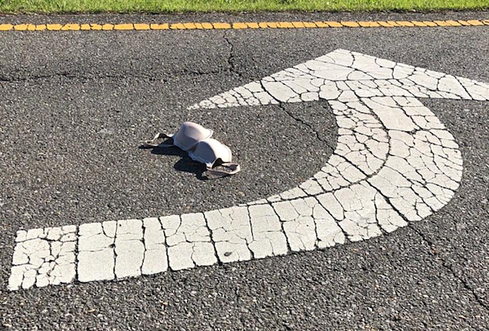 Anonymous Bra Causes Massive Friday Afternoon Traffic Delay On Skyland Boulevard!
