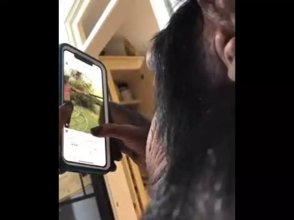 Watch this chimp use instagram better than you