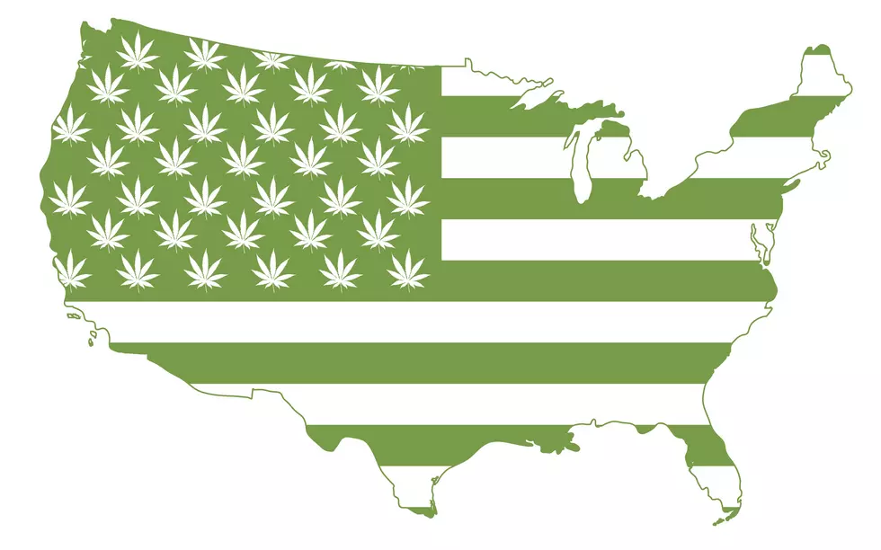 New senate bill may legalize marijuana nationwide