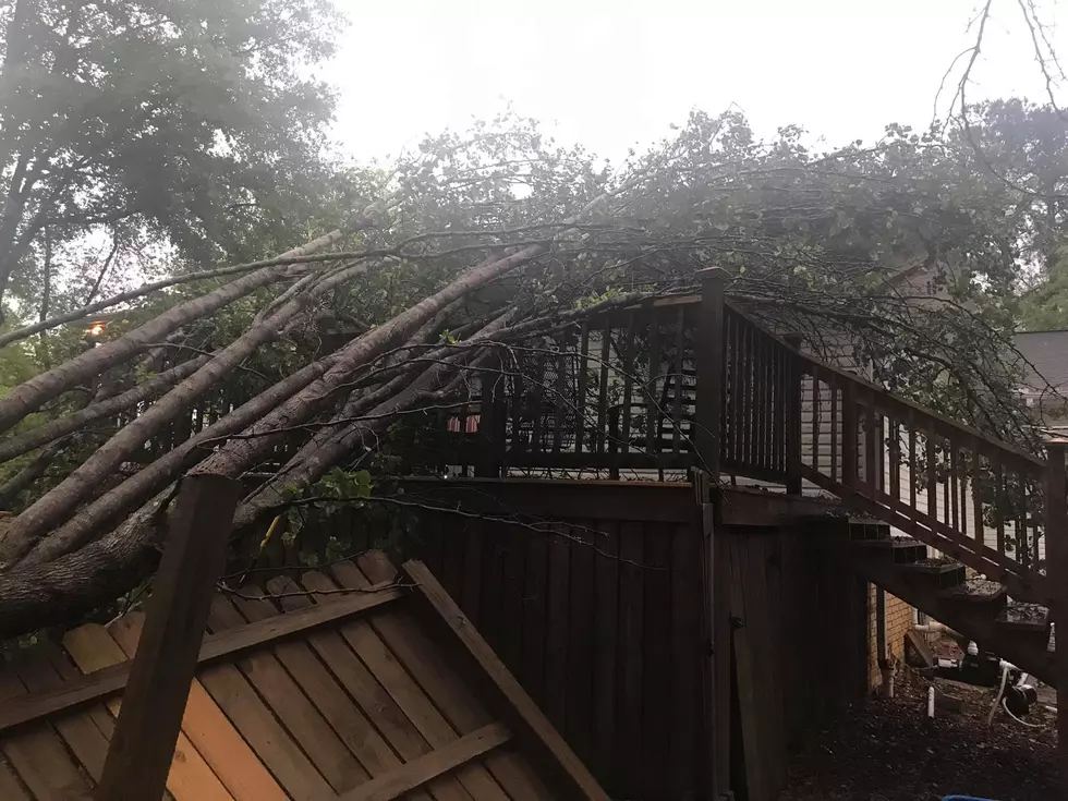 Storm Damage Reports Across West Alabama
