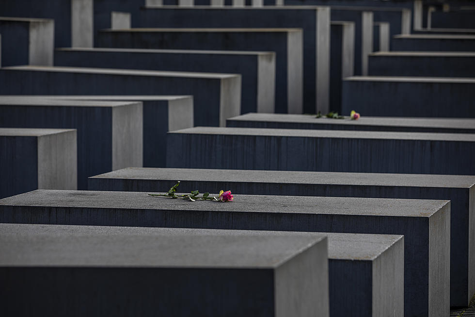 Personal Thoughts on International Holocaust Remembrance Day