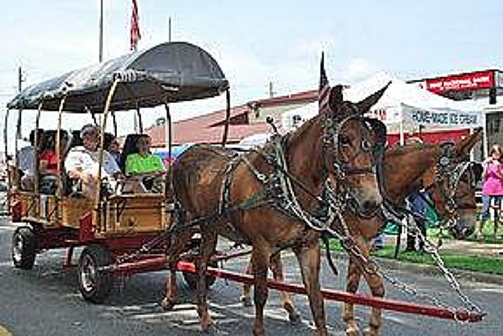 Visit the Gordo, Alabama Mule Day Festival This Weekend