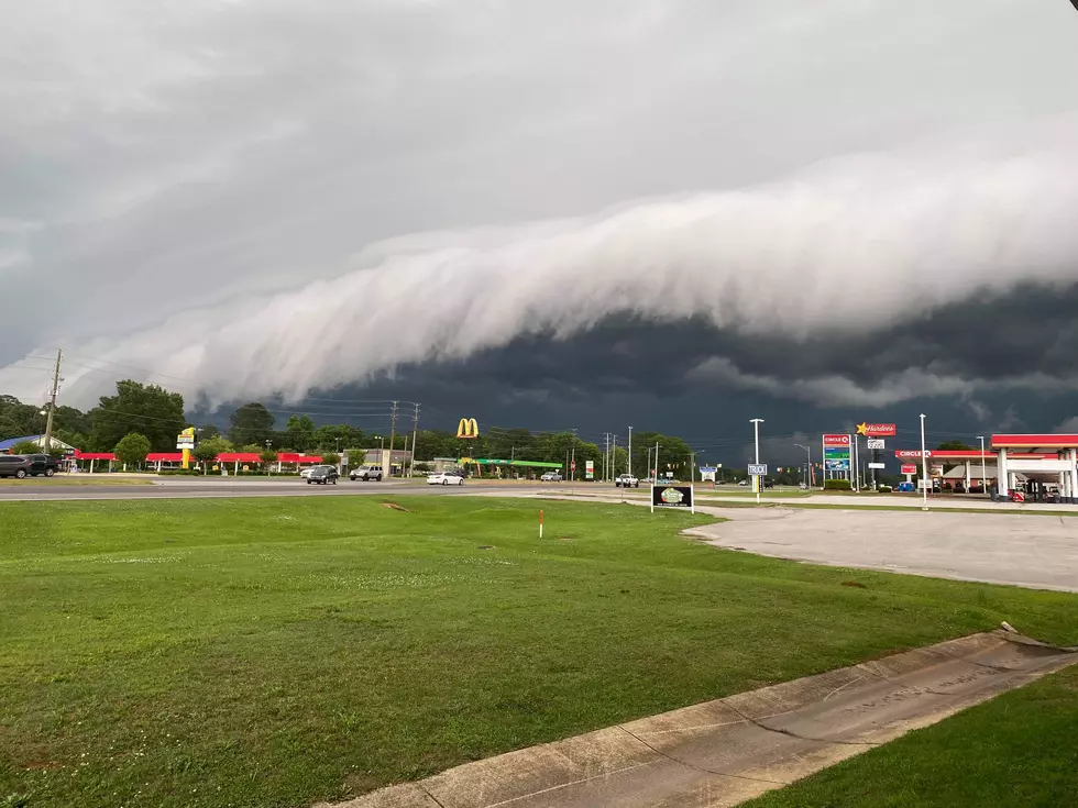 Stunning Photos, Videos Show Spooky Shelf Cloud Over Tuscaloosa, Alabama