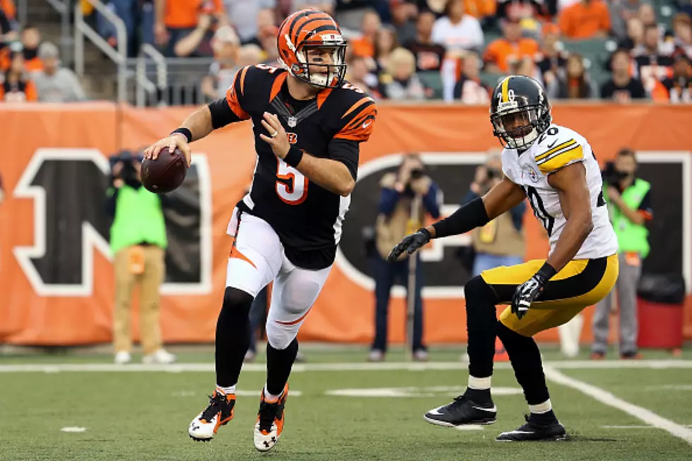 AJ McCarron Becomes Bengals’ Starter After Andy Dalton Injury