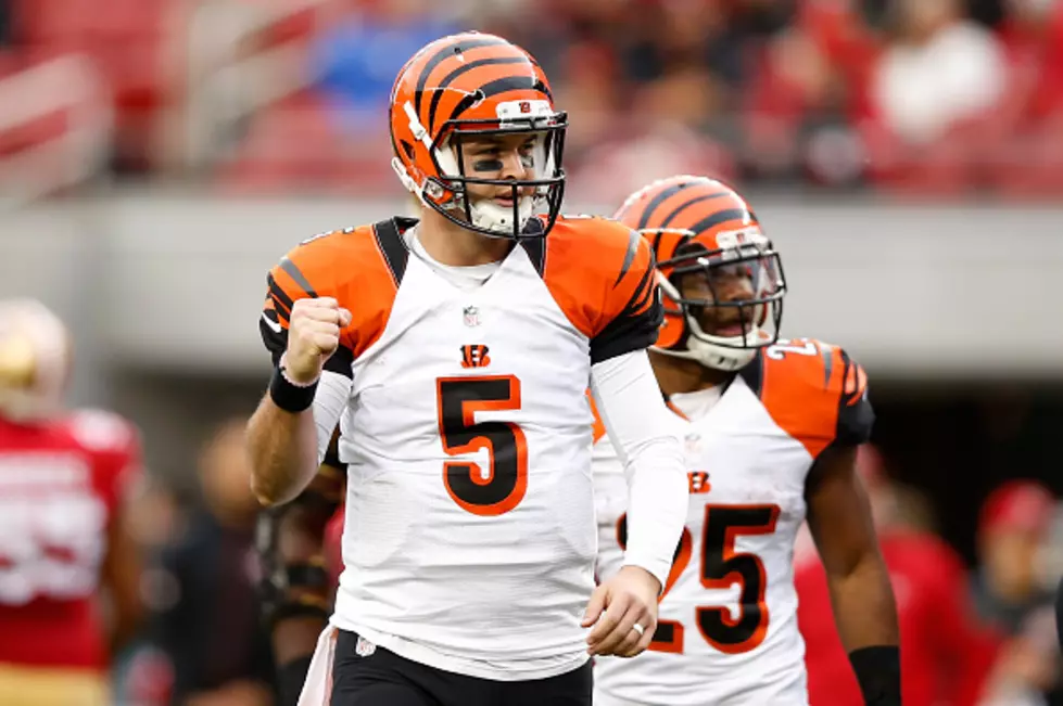 AJ McCarron Becomes Unrestricted Free Agent After Winning Grievance Against Bengals