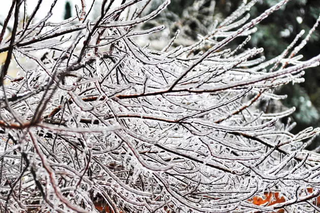 Travel Issues Expected as Tuscaloosa, Much of Alabama Under Winter Weather Advisory for Tuesday Into Wednesday