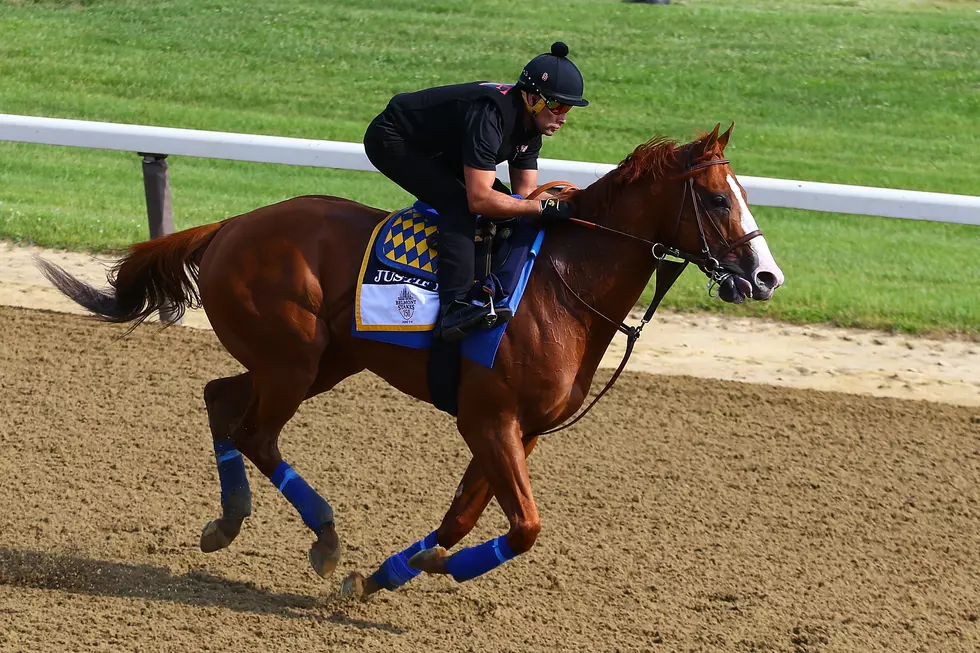 Justify Enjoys ‘Smooth’ Gallop in Final Belmont Drill