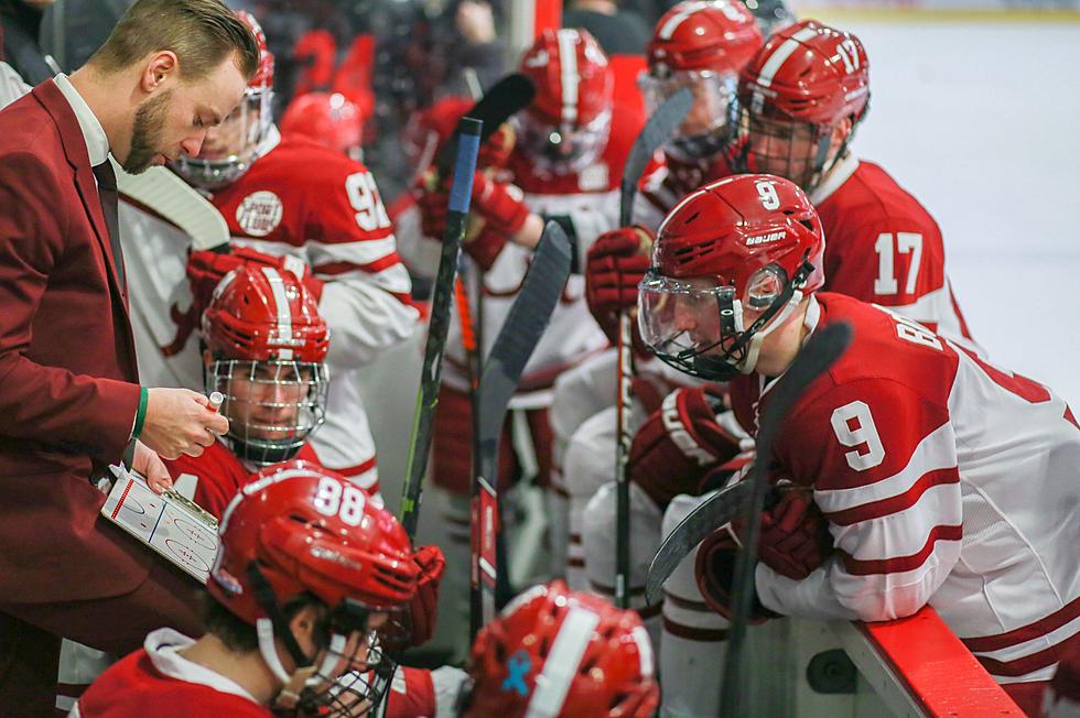 Alabama Hockey Season Postponed