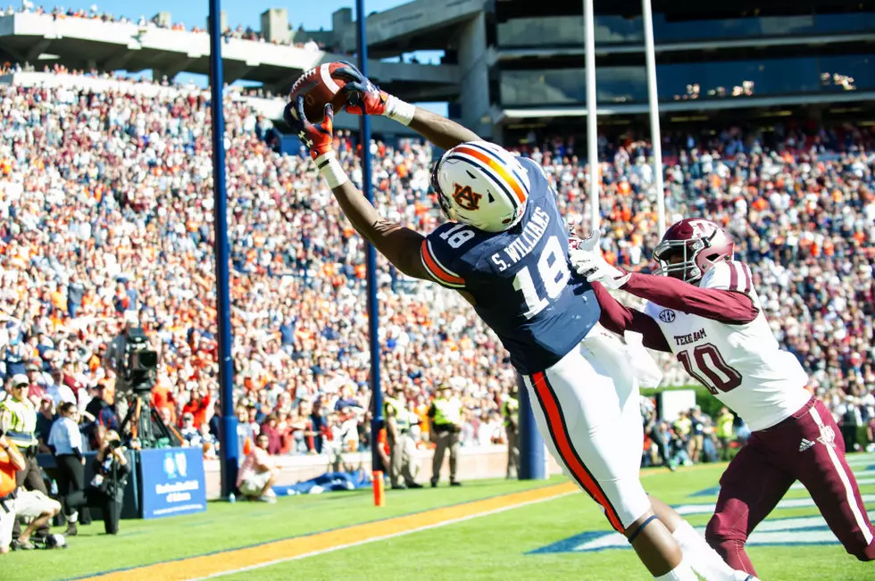 Auburn WR Seth Williams Shows Out Against Kentucky