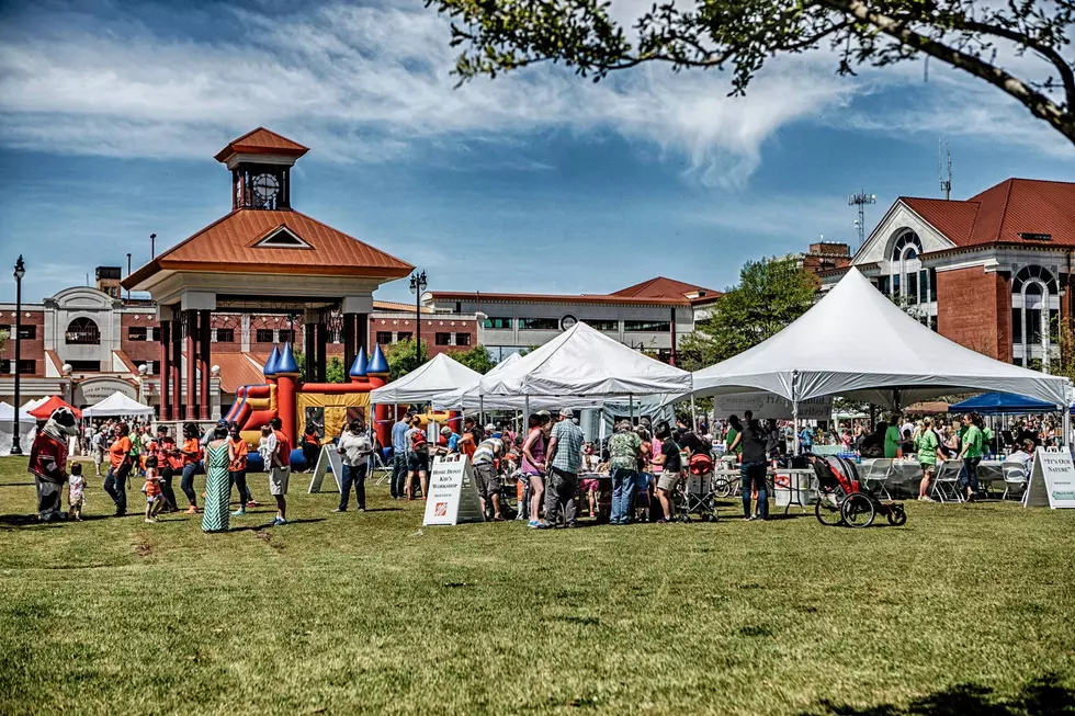 Druid City Arts Festival/Facebook