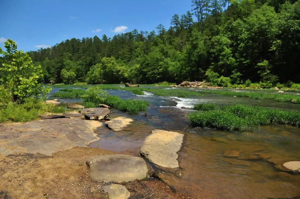 High E. Coli Levels Found at Some Sites Along Cahaba River