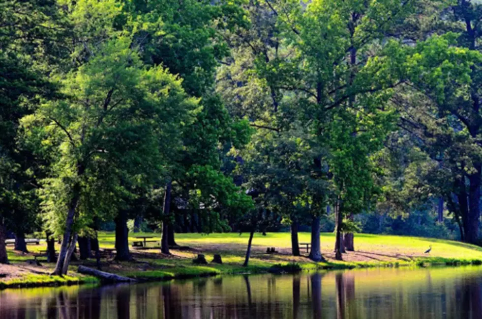 Best Swimming Holes in and Around Tuscaloosa