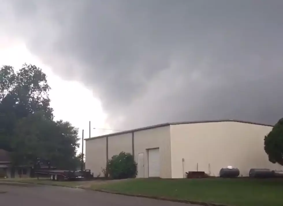 WEST ALABAMA TORNADOES