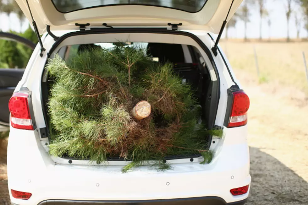 Florida Family Sells Christmas Trees to Raise Money to Adopt a Little Girl