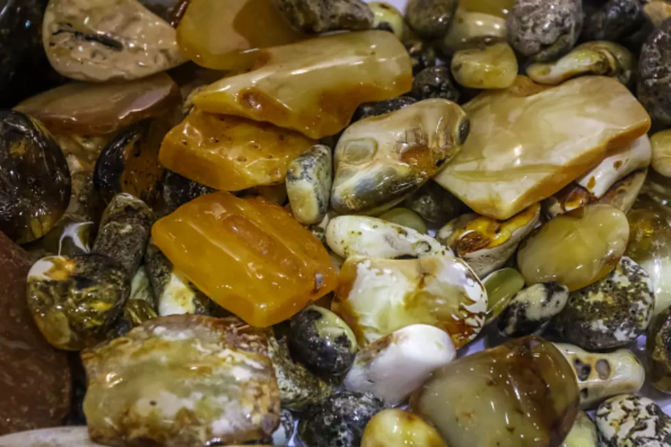 This School Is Arming Students With Rocks In Case of a School Shooting