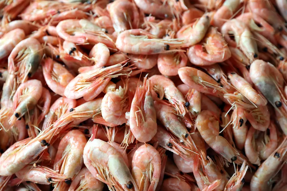 Alabama Beware Of Seafood Contaminated With Cocaine