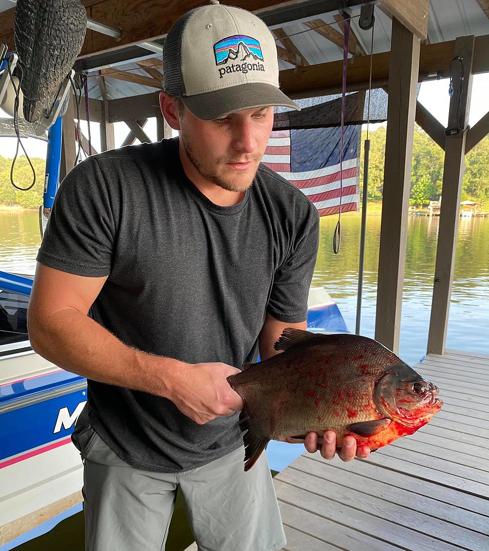 Mystery Fish: Did Jon Just catch a Piranha In Lake Tuscaloosa?