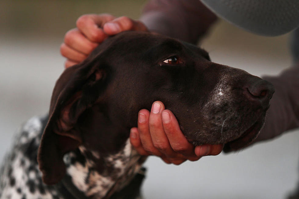 TUSCALOOSA ANIMAL ABUSER LEFT HER DOG TO DIE; RELEASED FROM JAIL