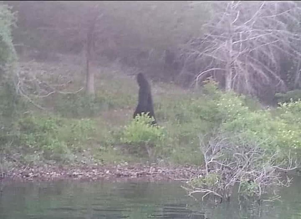 Alabama Man’s Bigfoot Sighting Prank Gets National Media Coverage