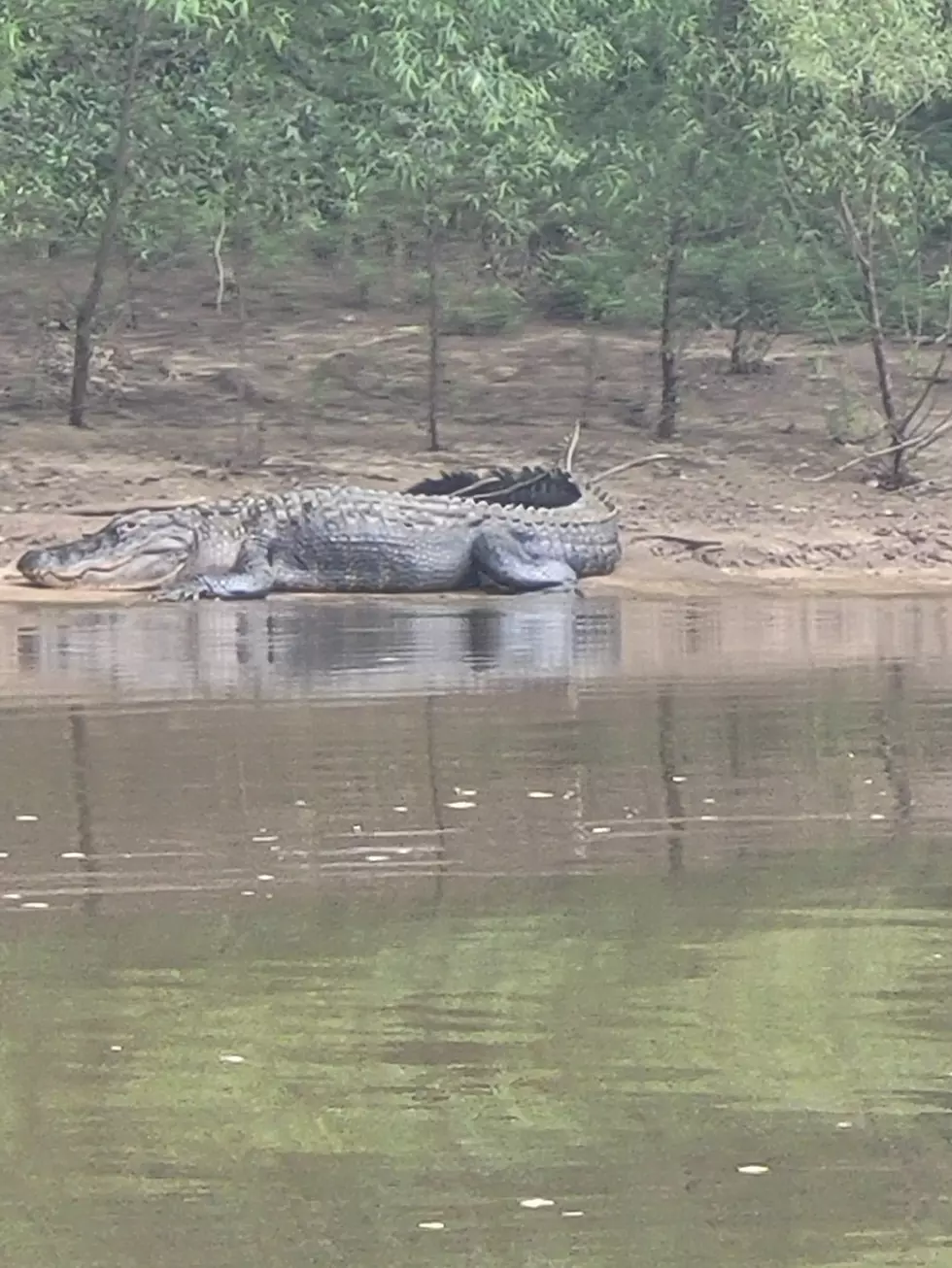 Monster On The Choctawhatchee Coming Through Alabama &#038; Georgia