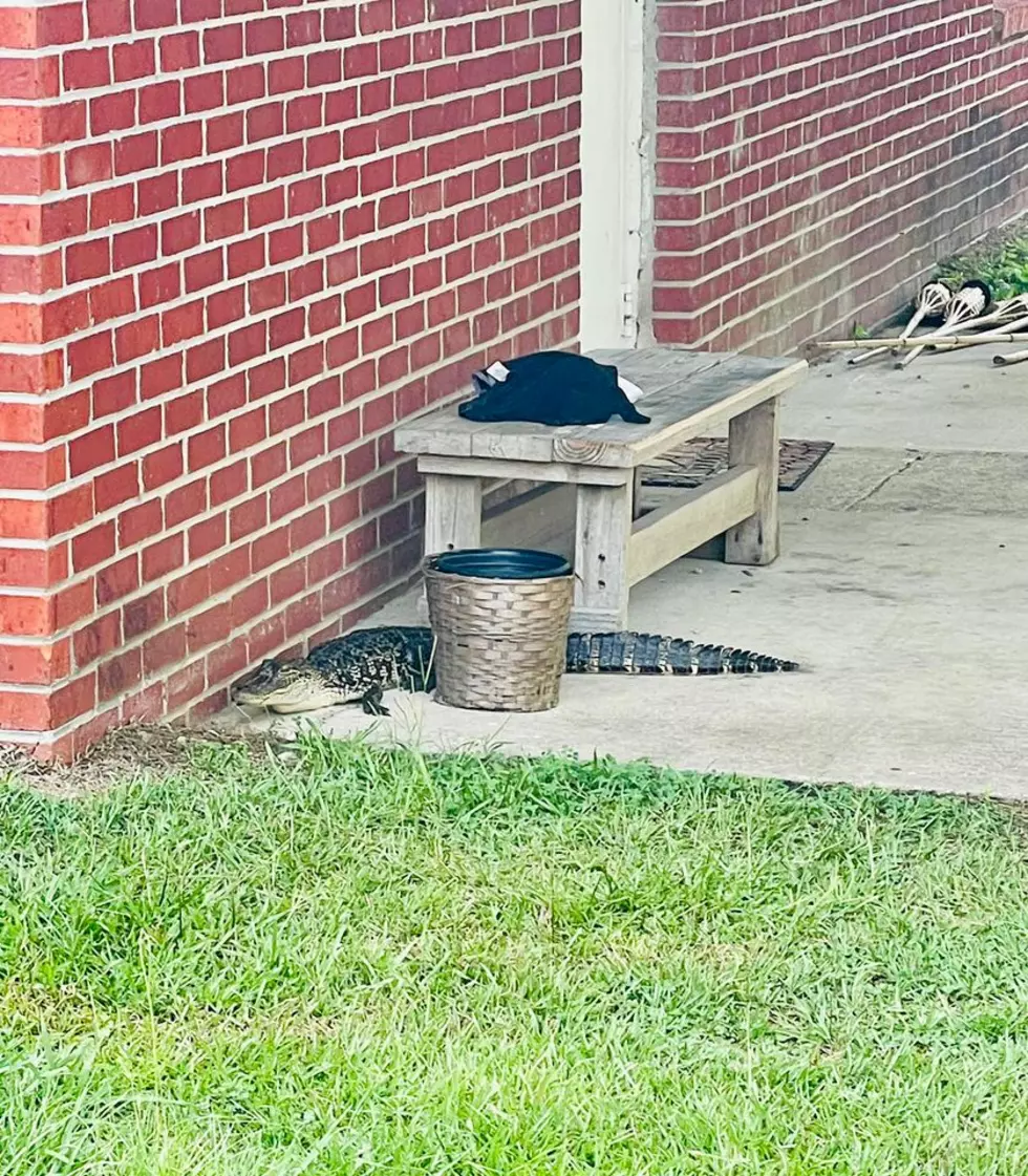 Alabama Church Gets A Dangerous Visitor For Morning Service