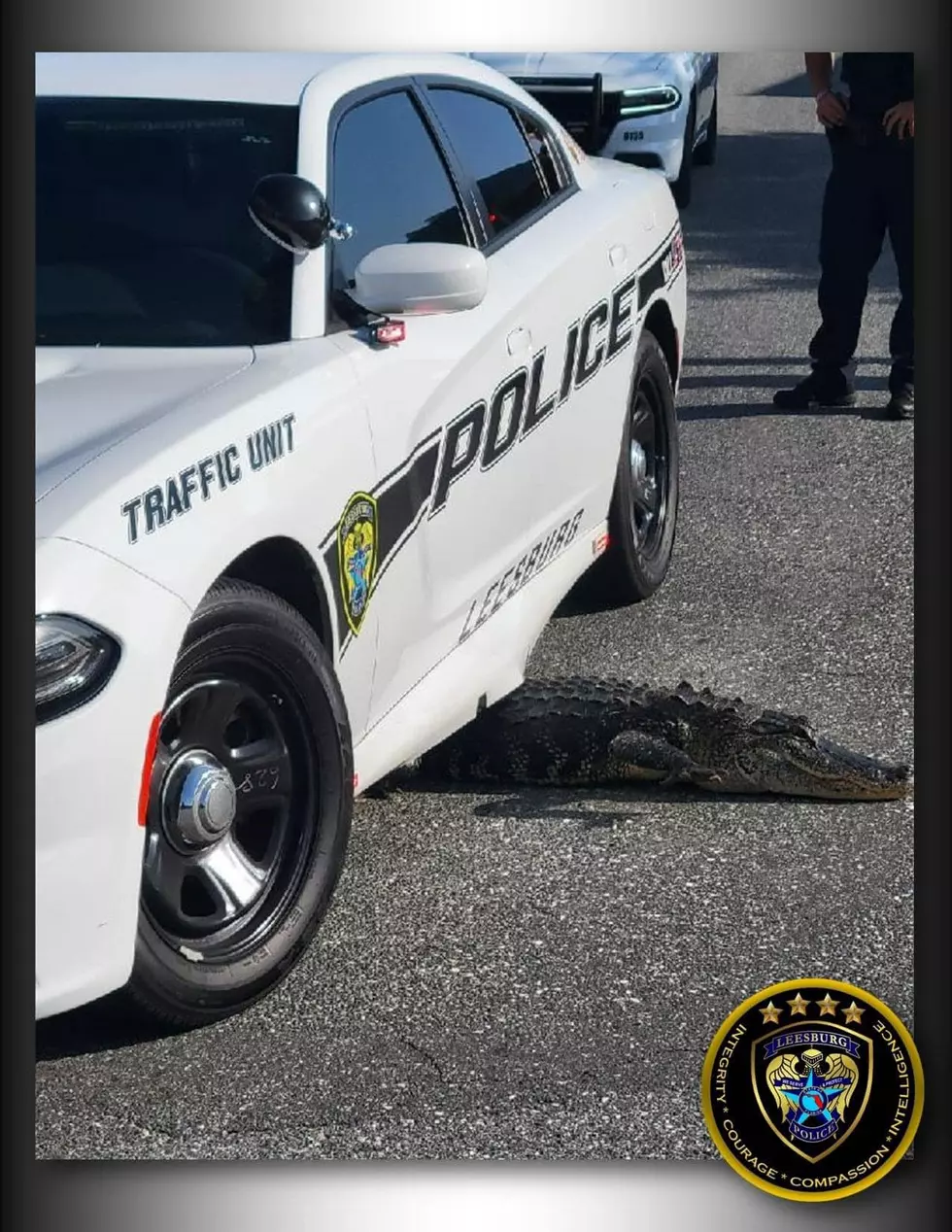 Alabama: Gator Charged With Resisting And Assault On An Officer