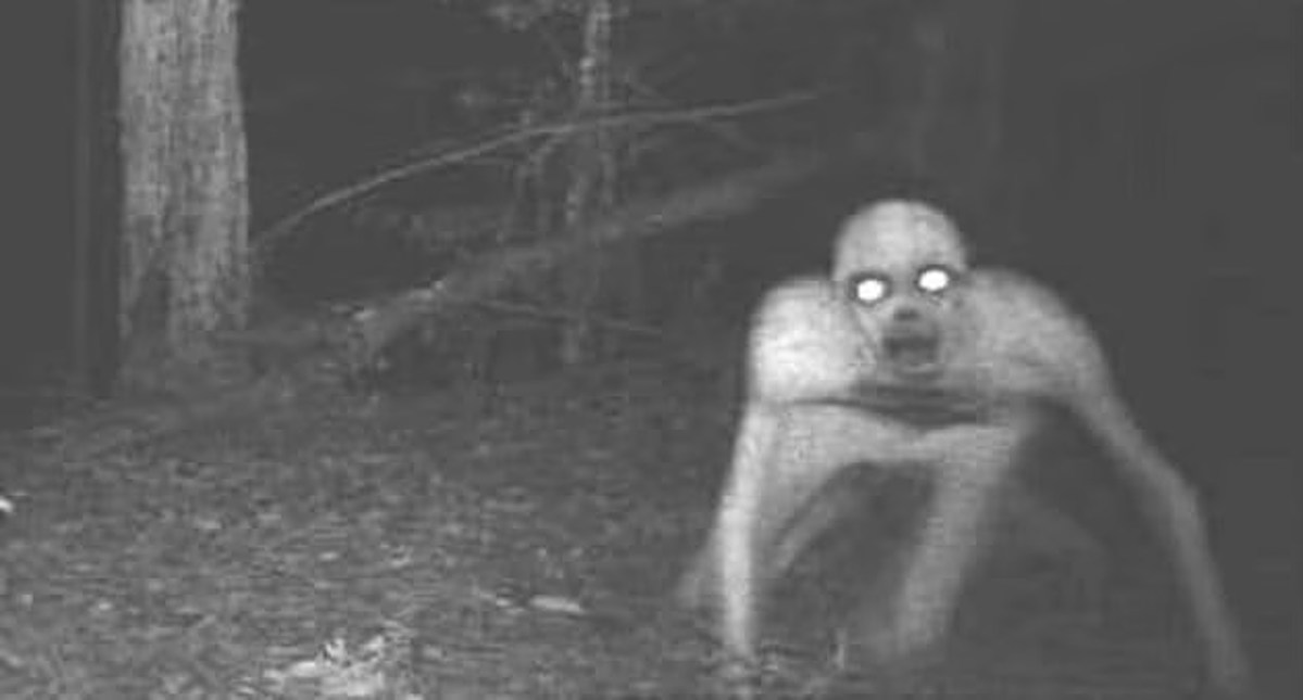 Shocking Footage Of Skinwalker Caught On Video In Alabama