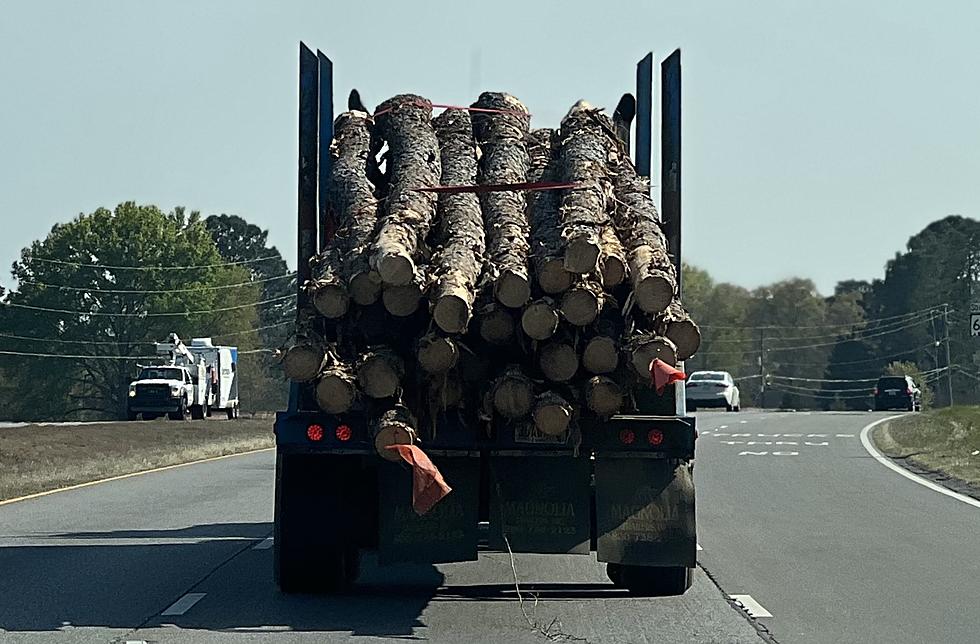Real Life Final Destination Log Truck Disaster In Alabama?