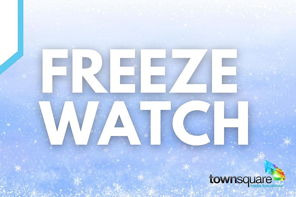 Weather Alert: Late-Season Freeze Prompts Watch Across Alabama