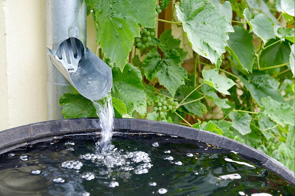 Alabama: Is It Legal to Collect Rainwater? Georgia Disagrees