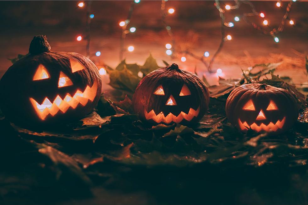 Halloween Haunted House Benefits Tuscaloosa’s STARS Academy