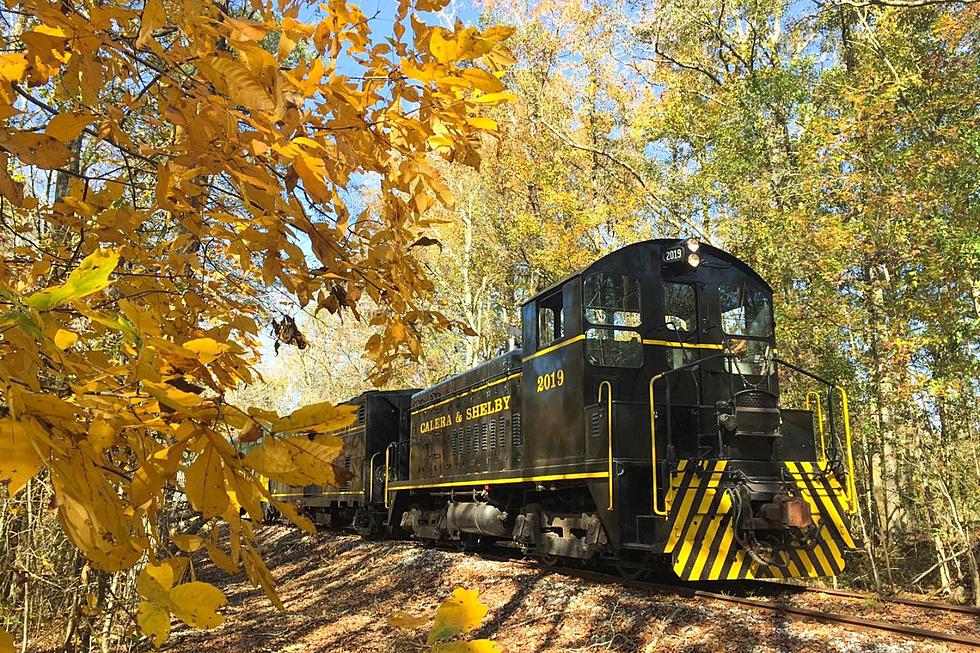 Enjoy Spectacular Alabama Fall Colors on These Scenic Train Tours