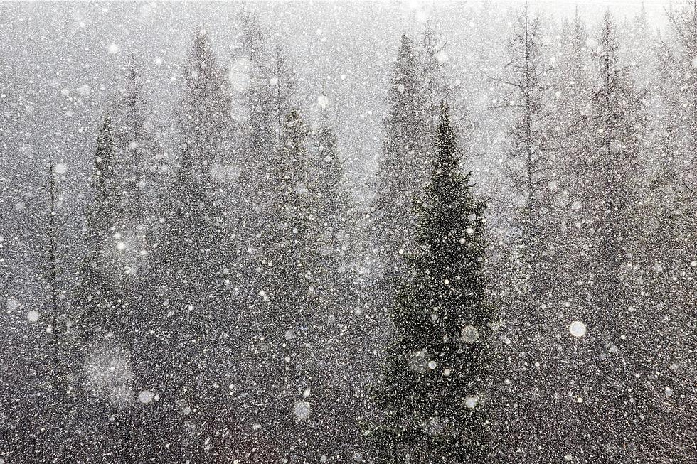 Will There Be a White Christmas in Alabama?