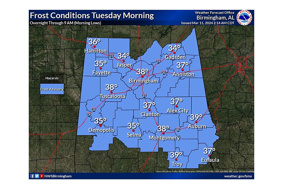 Frost Advisory Prompts Alabamians to Protect Tender Plants