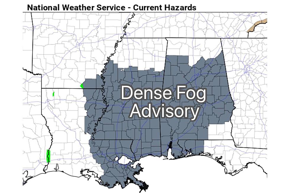 Stay Alert: Dense Fog Advisory Covers Portions of Alabama 