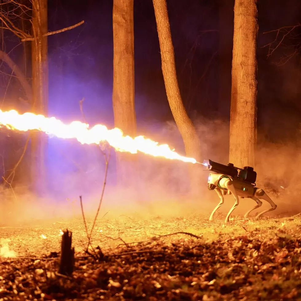 Alabamians Buying flamethrower-wielding robot dogs For Protection