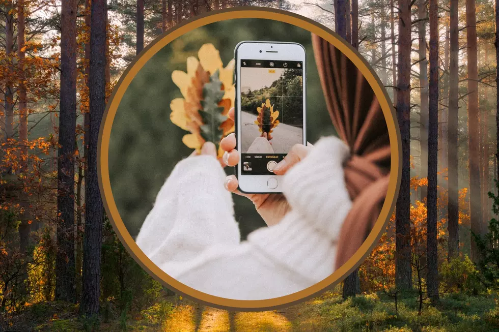 Discover Alabama's Best-Kept Secrets: Stunning Fall Foliage Await