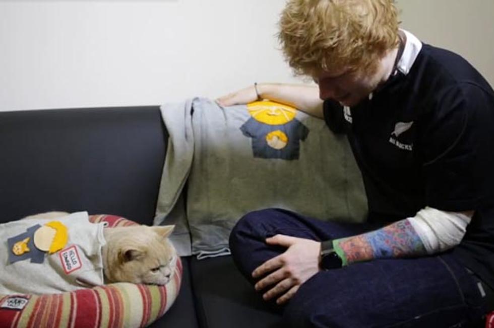 Watch Ed Sheeran Get Interviewed By a Cat