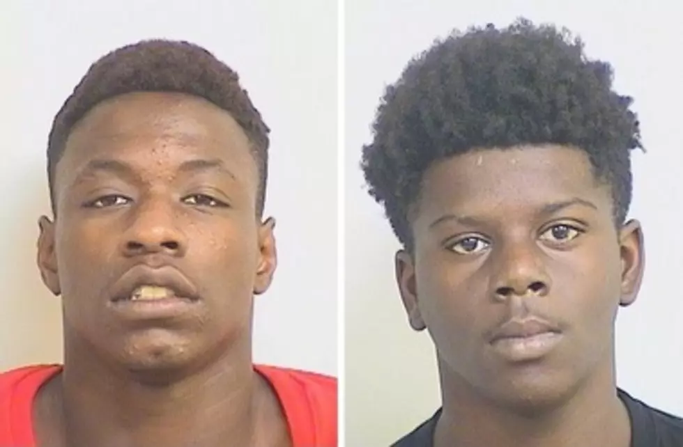 2 Teens Arrested For Burglary