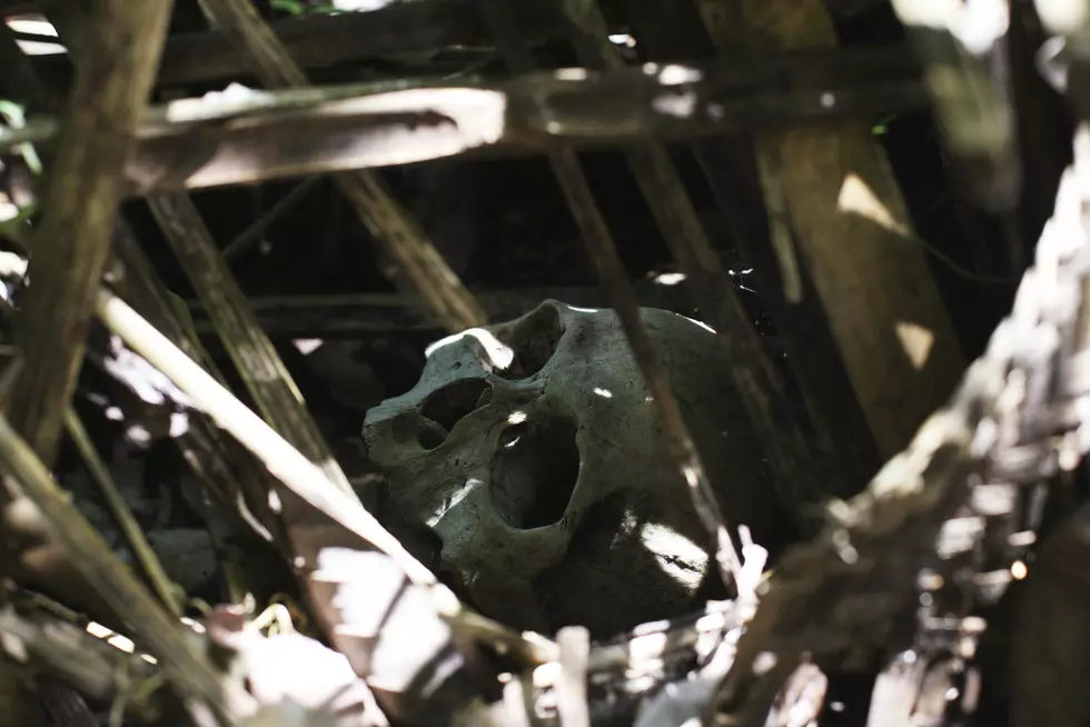 Rumor Has It: Skeletal Remains Allegedly Discovered in Aliceville Lumber Yard