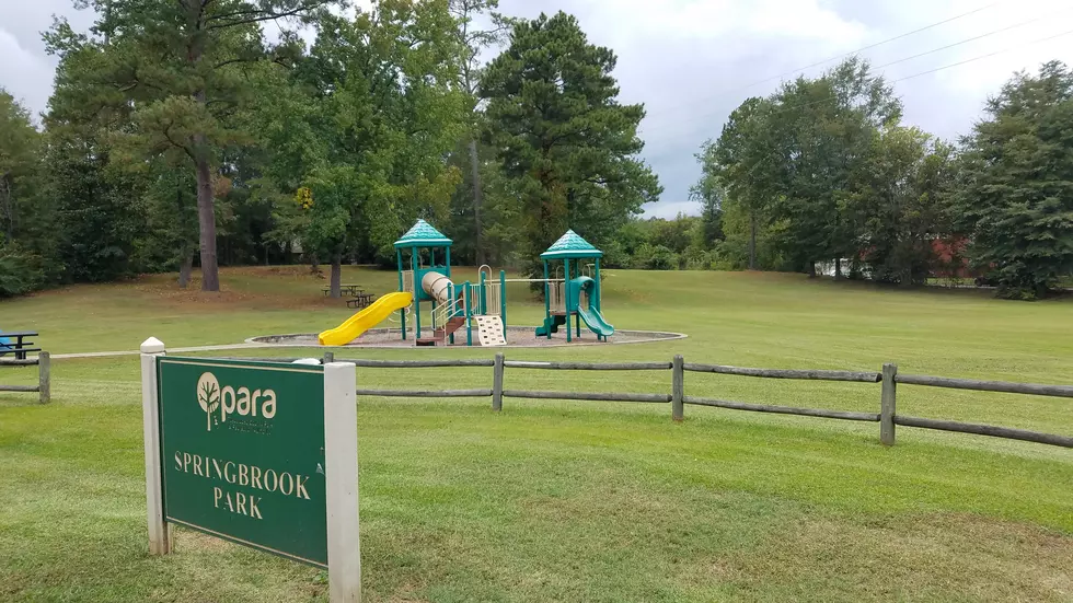 Add This Tiny Tuscaloosa Park to Your Next Outing