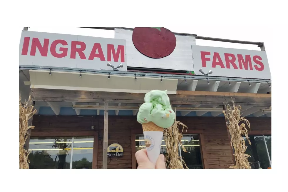 Best Sweet Frozen Treats in Tuscaloosa, Alabama