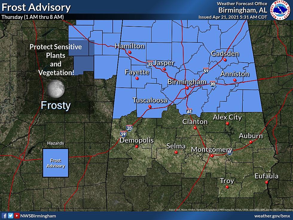 Will This Be the Last Cold Blast for Alabama? Frost Advisory Info