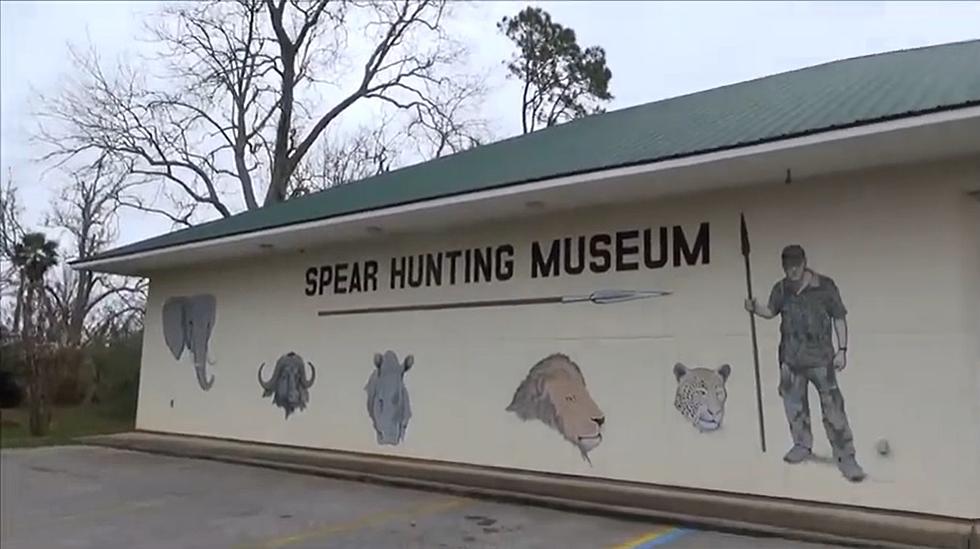 The Quirkiest Museums in Alabama You Didn’t Know Existed