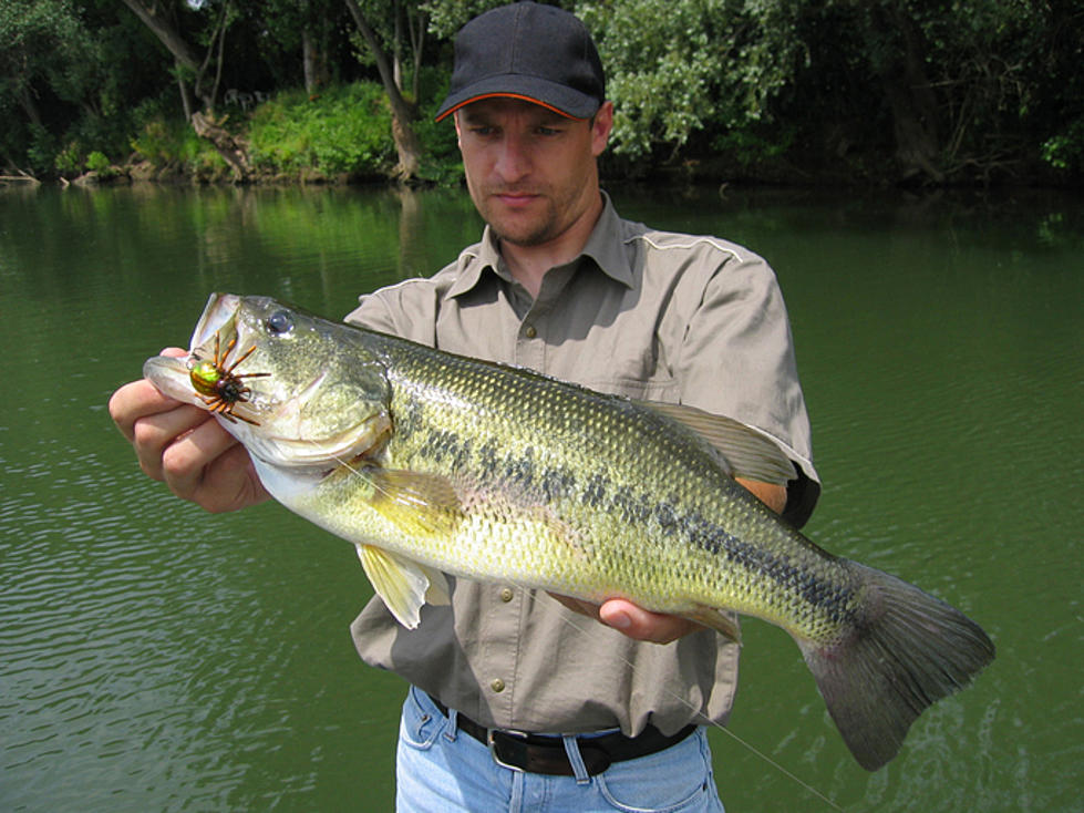 Here’s Why You Shouldn’t Eat the Fish You Catch in Tuscaloosa, Alabama