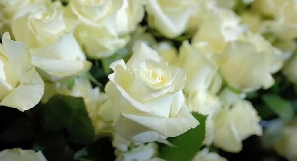 The Heartbreaking Reason Why This Alabama Florist is Giving Away Free Roses
