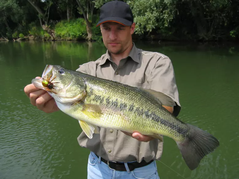 Funny Largemouth Bass Fishing Quote for Men Giant Coffee Mug