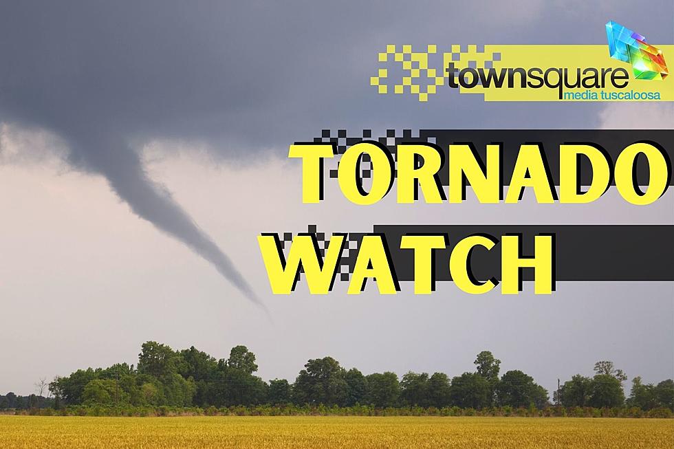 Information You Need: Tuscaloosa, West Alabama Live Severe Weather Updates