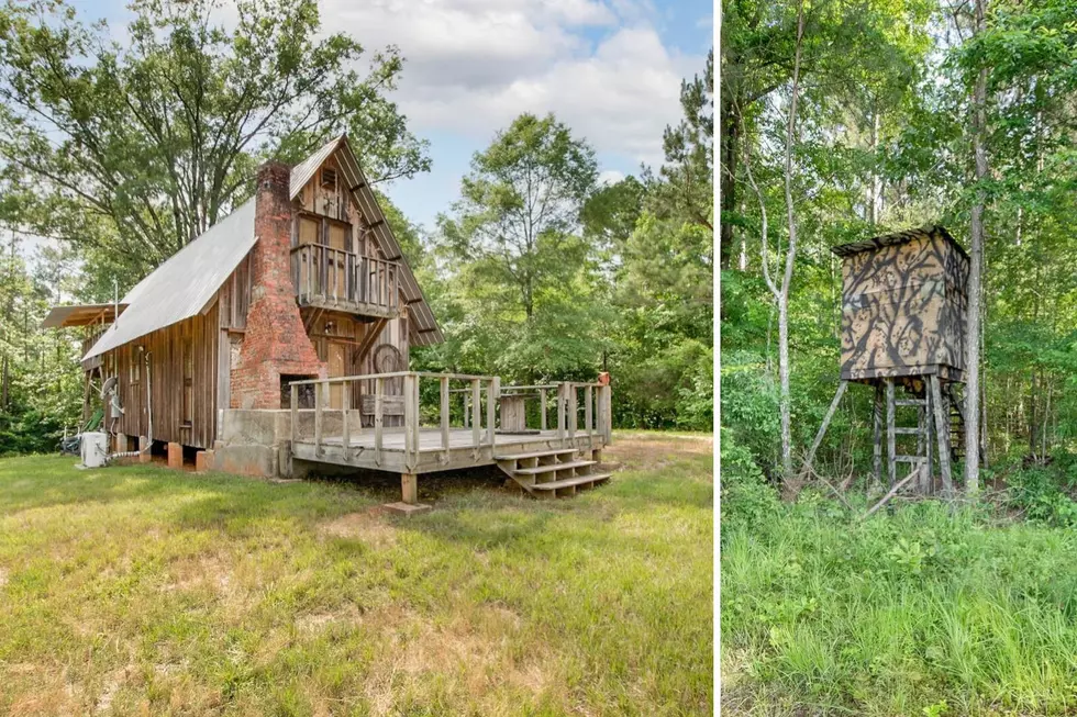 This Reform, Alabama Rustic Cabin Plus 100 Acres is What Hunters Dream Of